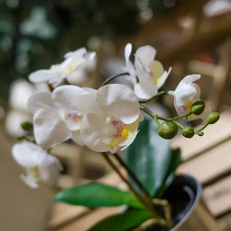 Penzion Sleep - Katánie